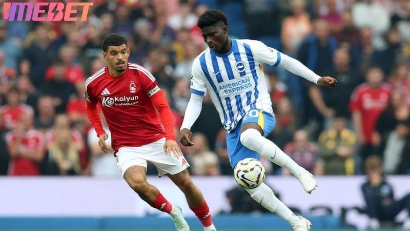 Dự đoán kết quả NottingHam - Brighton 21h05 ngày 30/11/2025